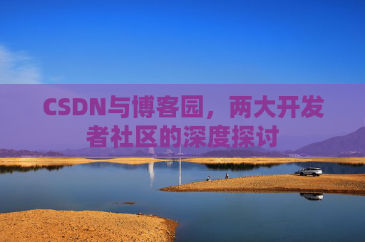 CSDN与博客园，两大开发者社区的深度探讨